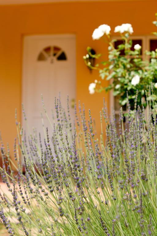 Little Tuscany Boutique Hotel Johannesburg Ngoại thất bức ảnh
